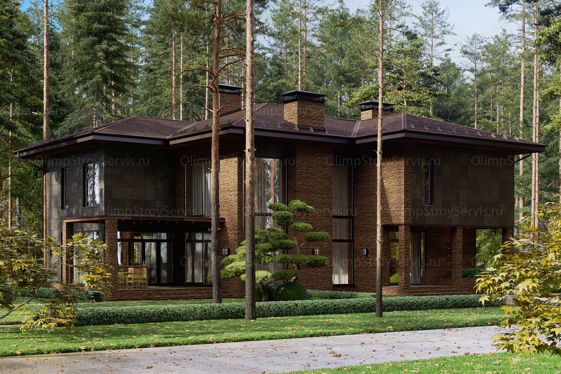 Современный дом с комбинированным фасадом «Тарм»