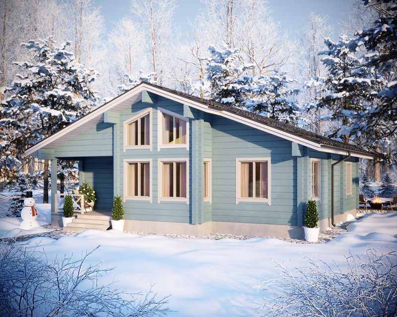 Одноэтажный дом №380